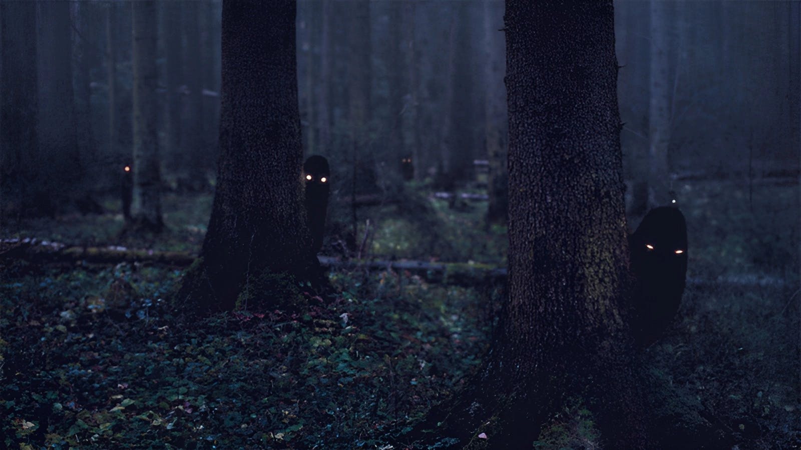 Призраки в темноте песня. Темный лес the Woods 2005. Лес призраков (the Forest), 2015. Темный лес с призраками.